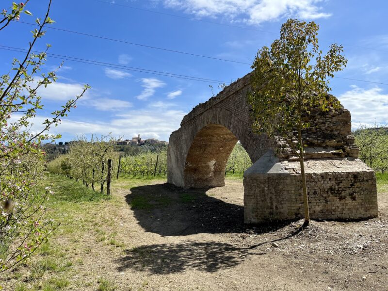 grottazzolina - ponte vecchia ferrovia area attrezzata parco fiume tenna 1